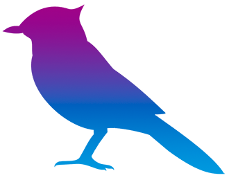 Blujay